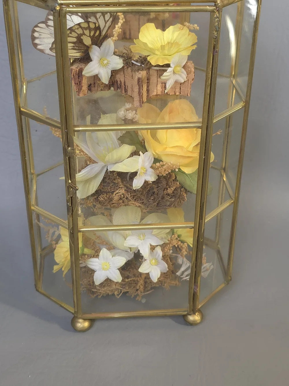 Mid Century Vintage Butterfly Taxidermy Floral In Brass And Glass Curio Cabinet